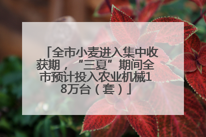 全市小麦进入集中收获期，“三夏”期间全市预计投入农业机械18万台（套）